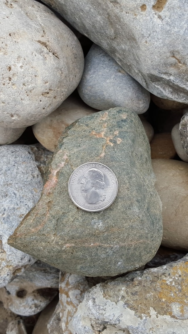 4097191908048658200- tall