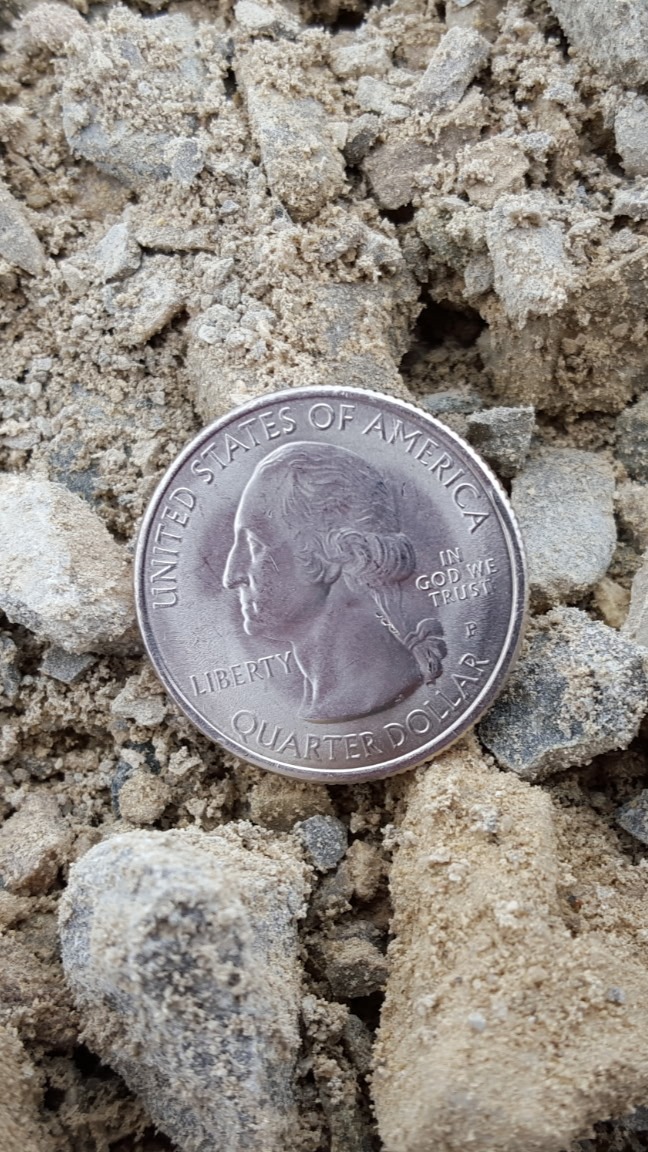 7083848463038503251 – tall